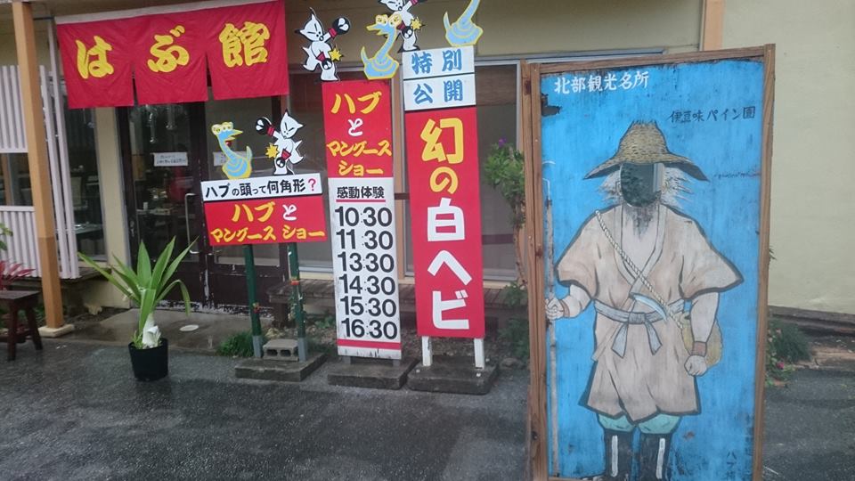 いこいの駅いずみ,沖縄,白いヘビ,マングース