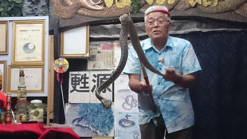 いこいの駅いずみ,沖縄,白いヘビ,マングース