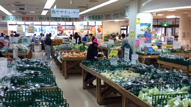 沖縄,野菜,果物