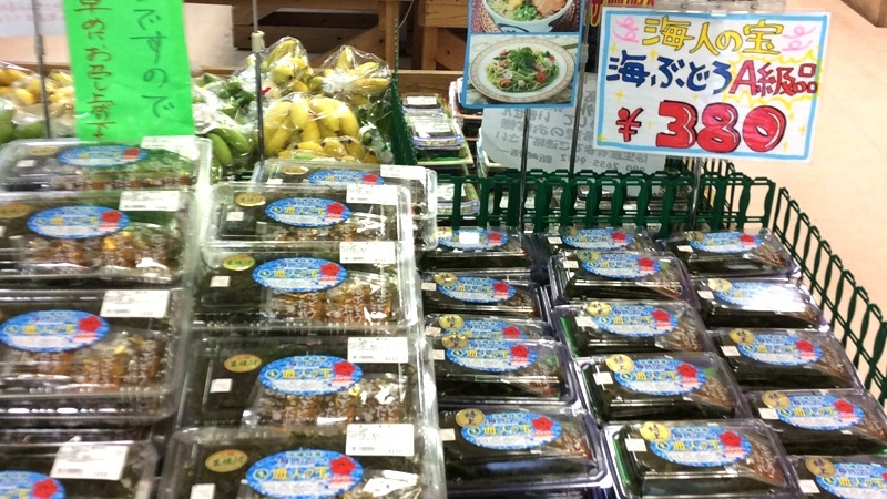 沖縄,海ぶどう,特産品