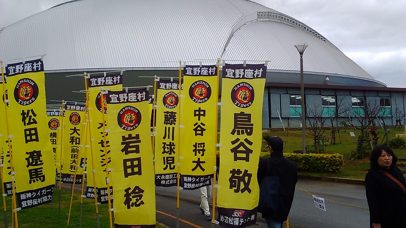 阪神タイガースキャンプ地宜野座球場よりお届けします